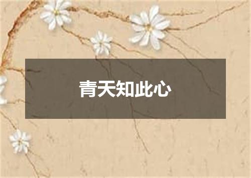 青天知此心