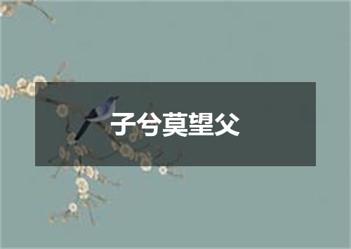 子兮莫望父