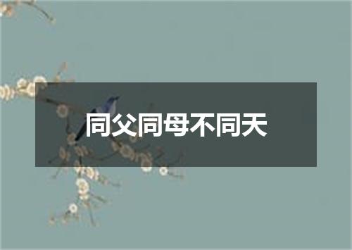 同父同母不同天