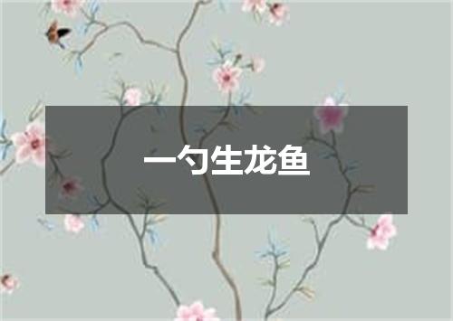 一勺生龙鱼