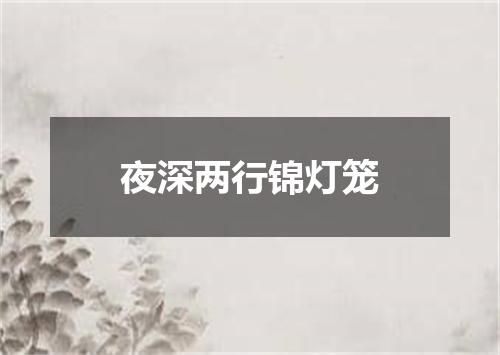 夜深两行锦灯笼