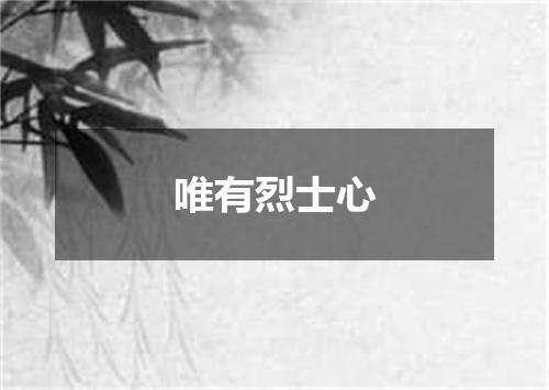 唯有烈士心