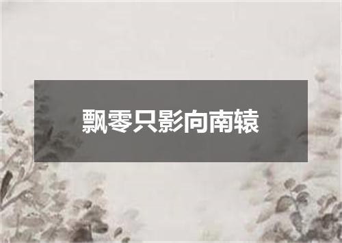 飘零只影向南辕