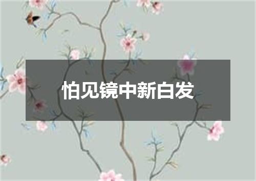 怕见镜中新白发