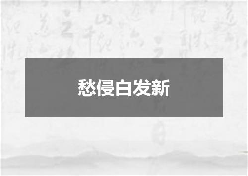 愁侵白发新