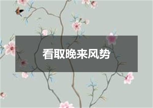 看取晚来风势