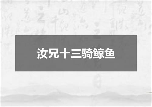 汝兄十三骑鲸鱼