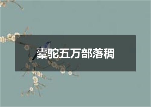 橐驼五万部落稠