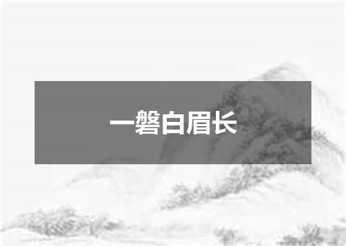 一磐白眉长