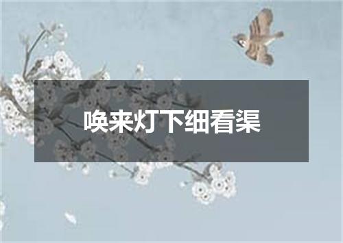 唤来灯下细看渠
