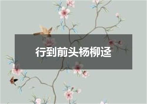 行到前头杨柳迳