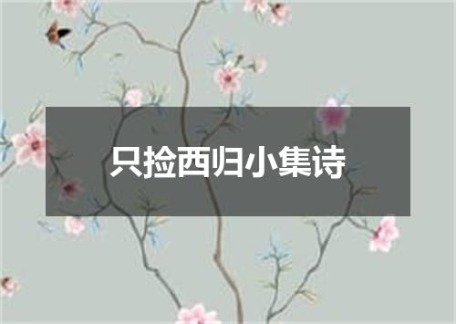 只捡西归小集诗