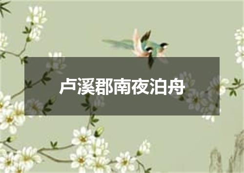 卢溪郡南夜泊舟