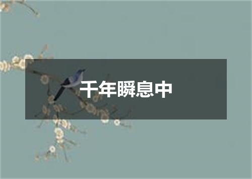千年瞬息中