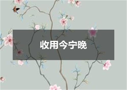 收用今宁晚