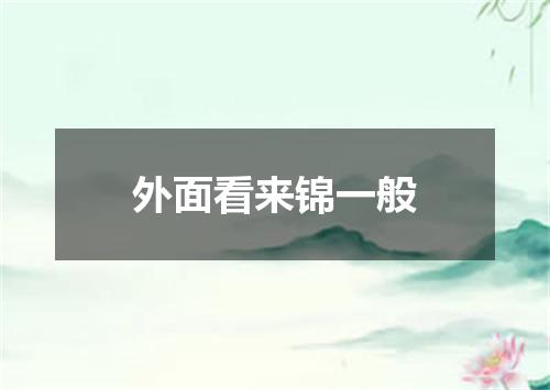 外面看来锦一般