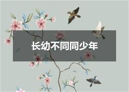 长幼不同同少年