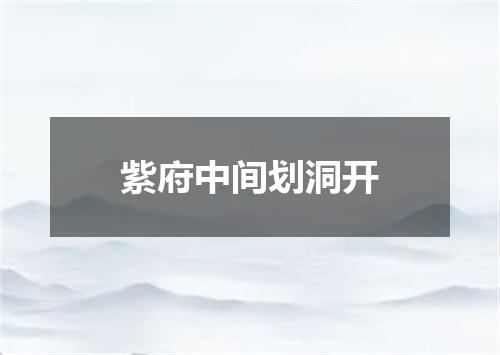 紫府中间划洞开