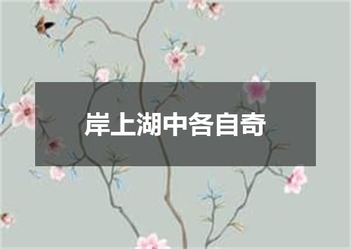 岸上湖中各自奇