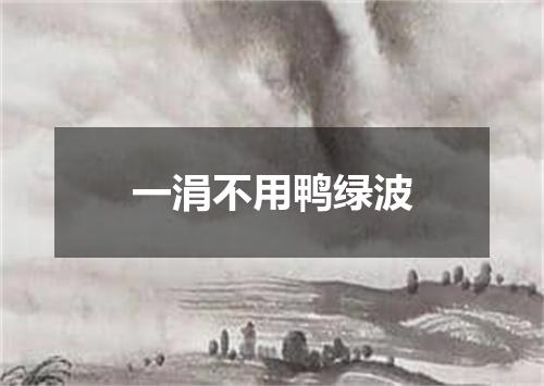 一涓不用鸭绿波