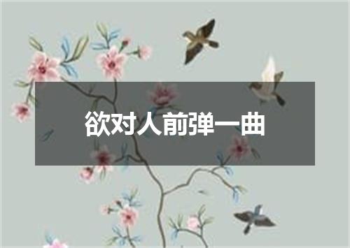 欲对人前弹一曲