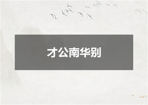 才公南华别