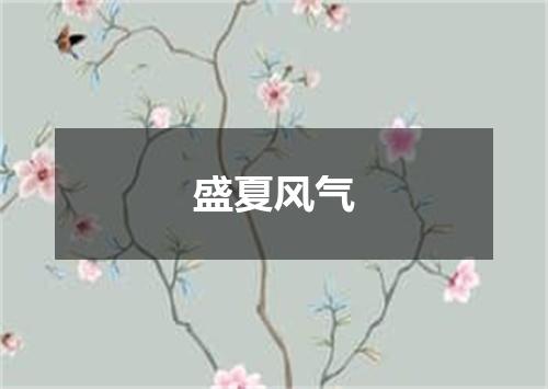 盛夏风气