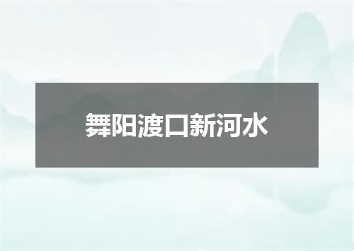 舞阳渡口新河水