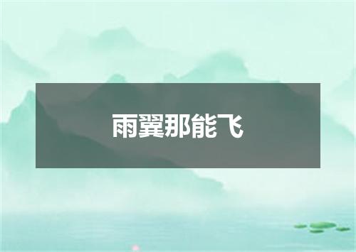 雨翼那能飞