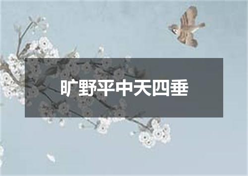 旷野平中天四垂