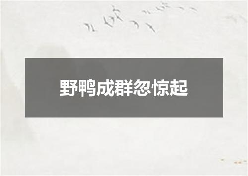 野鸭成群忽惊起