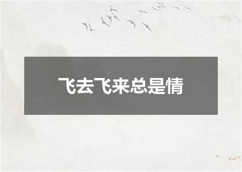 飞去飞来总是情