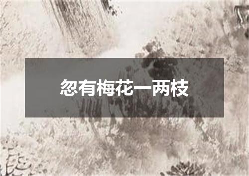 忽有梅花一两枝
