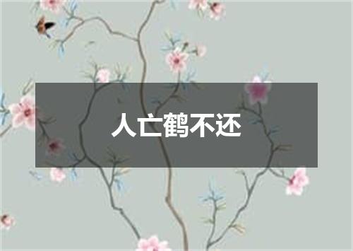 人亡鹤不还
