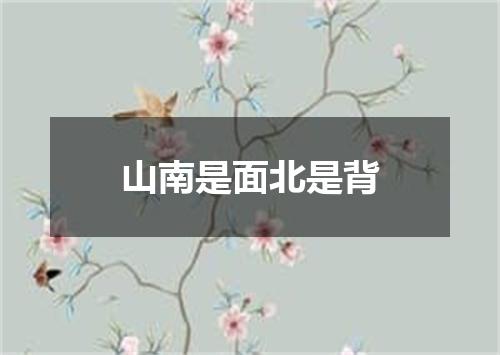 山南是面北是背