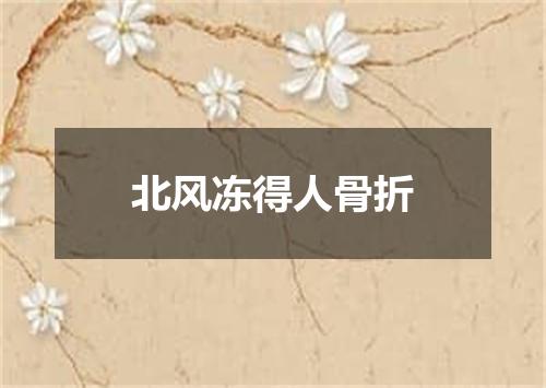 北风冻得人骨折