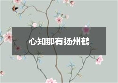 心知那有扬州鹤