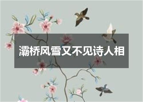 灞桥风雪又不见诗人相