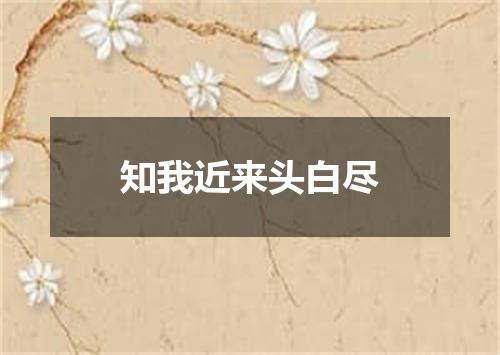 知我近来头白尽
