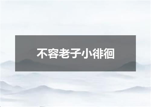 不容老子小徘徊