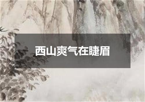西山爽气在睫眉