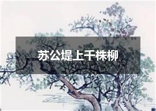 苏公堤上千株柳
