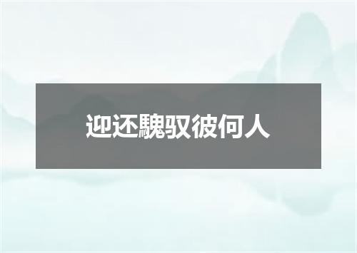 迎还騩驭彼何人
