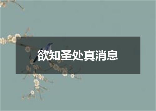 欲知圣处真消息