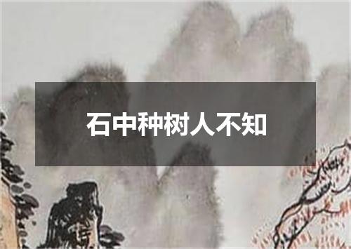石中种树人不知