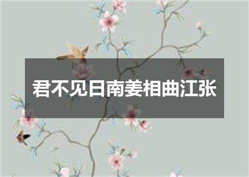 君不见日南姜相曲江张