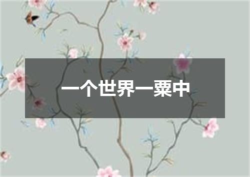 一个世界一粟中