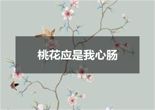 桃花应是我心肠