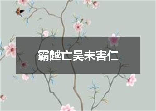 霸越亡吴未害仁