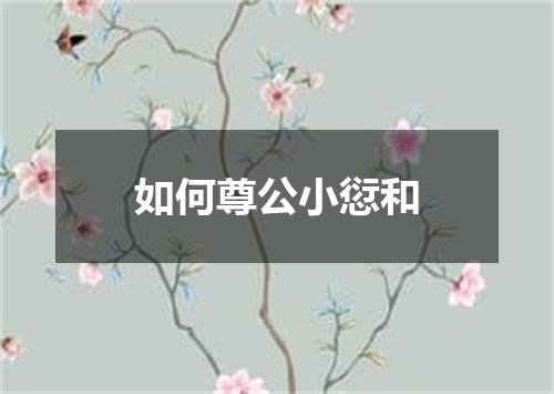 如何尊公小愆和